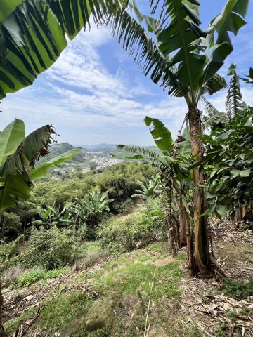 台中東勢農地-3