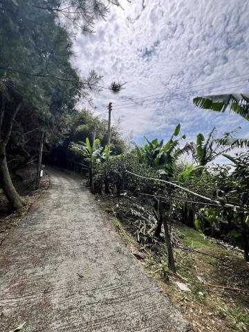 台中東勢農地-4