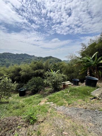 台中東勢農地-1