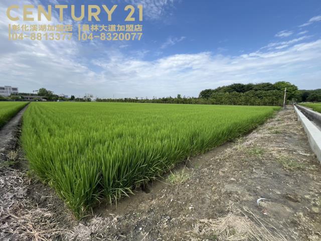 彰化竹塘農地-4