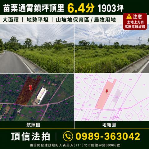 苗栗通霄拍賣農地-0