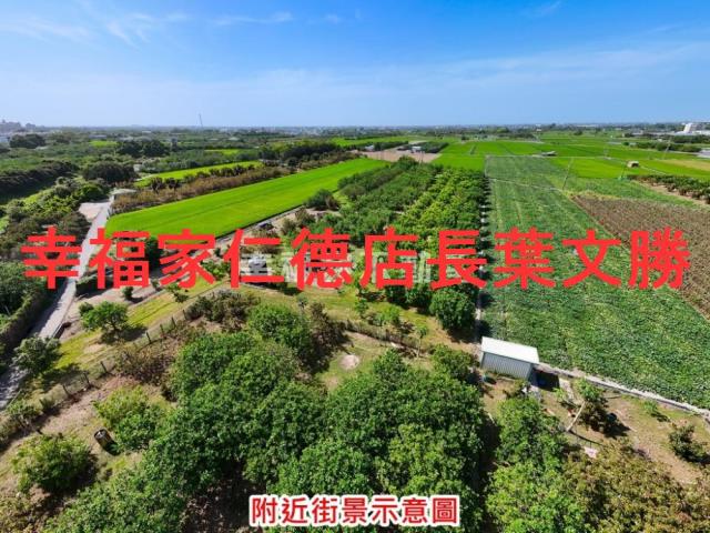 麻豆農地-5