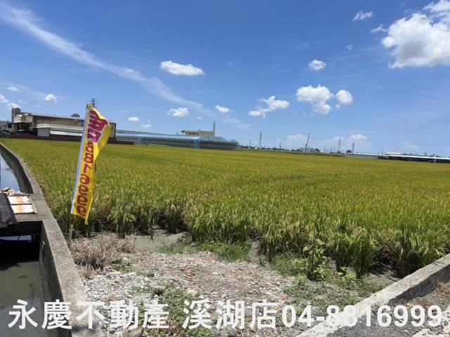 埔鹽農地-11