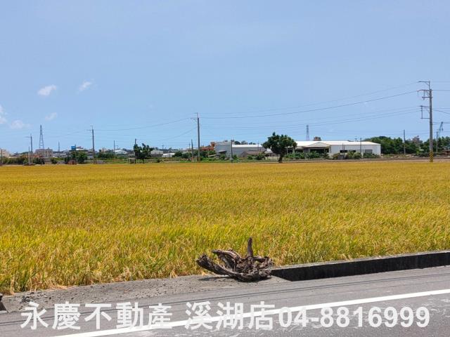 埔鹽農地-5