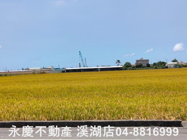 埔鹽農地-8