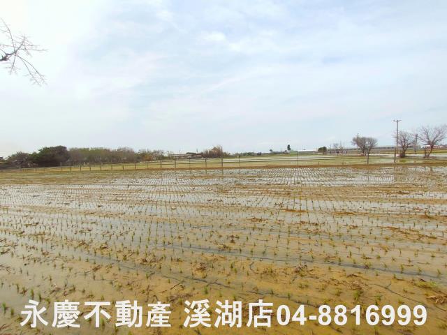 埔鹽農地-1