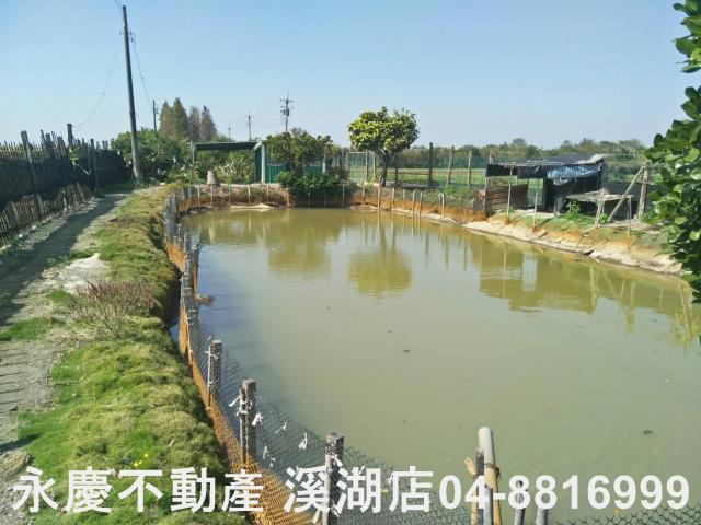 埤頭農地-4