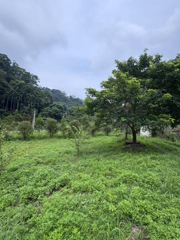 北埔農地-1