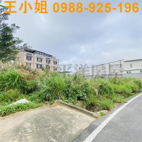 觀音農地_建地-2