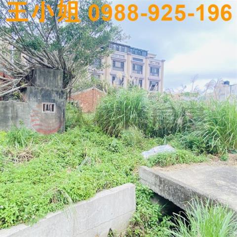 觀音農地_建地-3