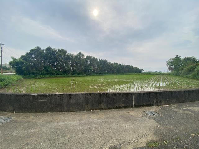 觀音農地-9