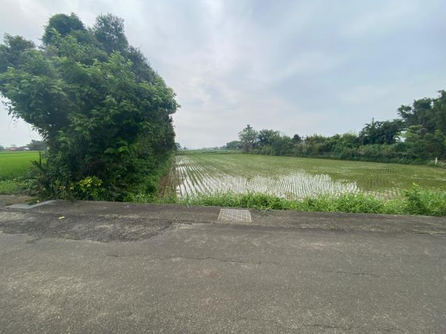 觀音農地-1