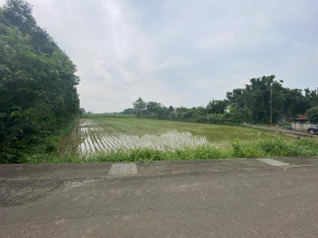 觀音農地-4