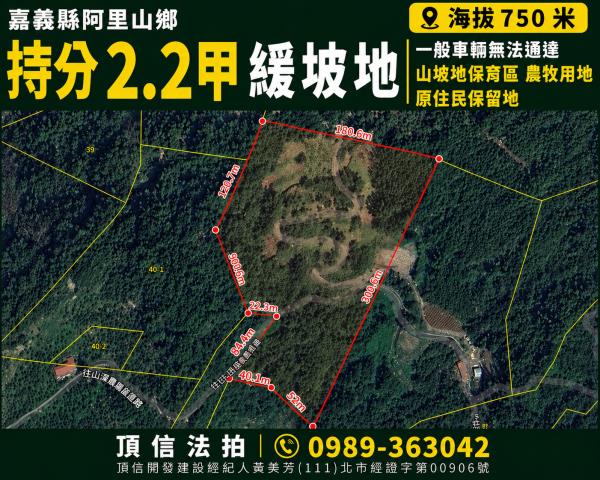 阿里山農地拍賣-0