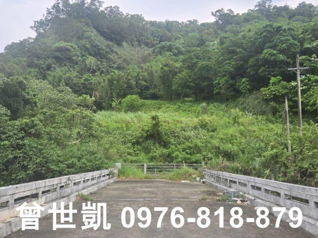 新竹關西建地_山坡地_林地-1