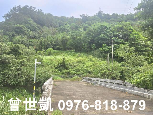 新竹關西建地_山坡地_林地-3