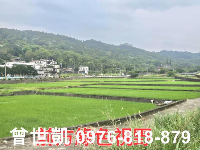 新竹關西建地_山坡地_林地-7