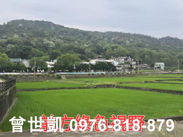 新竹關西建地_山坡地_林地-8