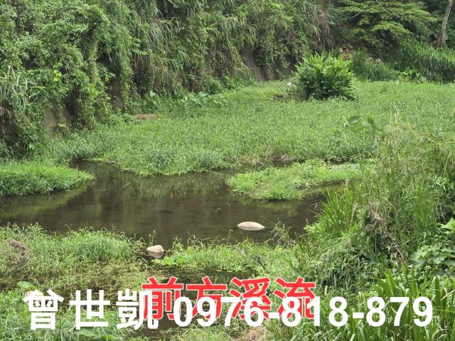 新竹關西建地_山坡地_林地-9