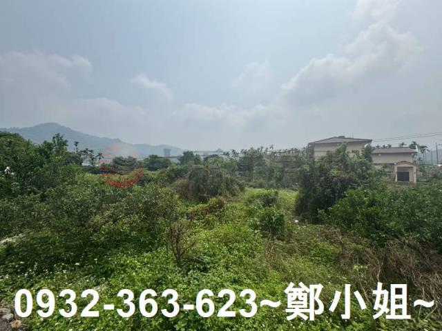 南投竹山農地-11