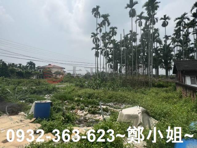 南投竹山農地-2
