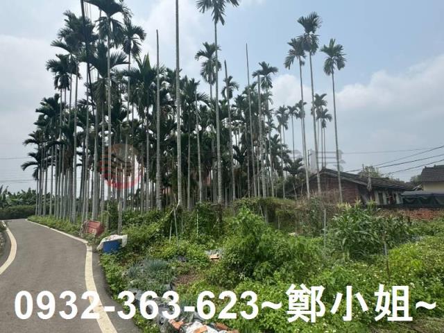 南投竹山農地-3