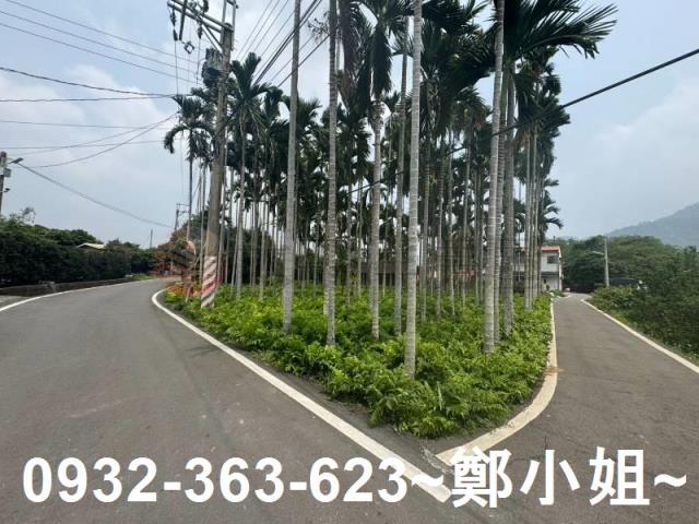 南投竹山農地-8