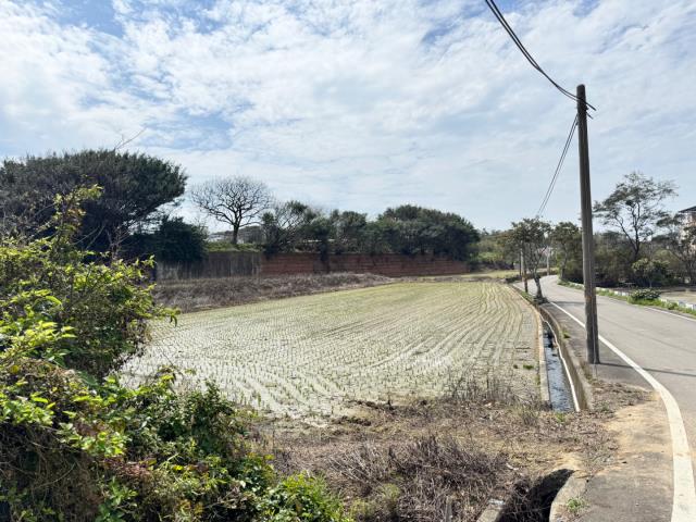 新屋面寬農地望間路新屋面寬農地新屋面寬農地近楊梅富岡
