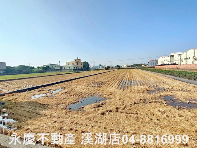 彰化埤頭農地-4