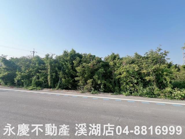 彰化埤頭農地-10