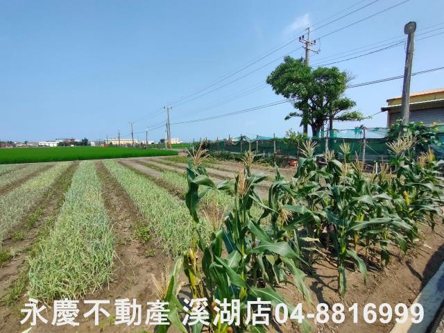 彰化埔鹽農地-0
