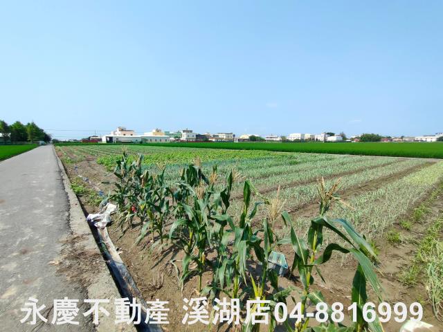 彰化埔鹽農地-1