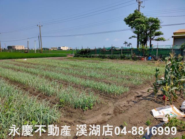 彰化埔鹽農地-2
