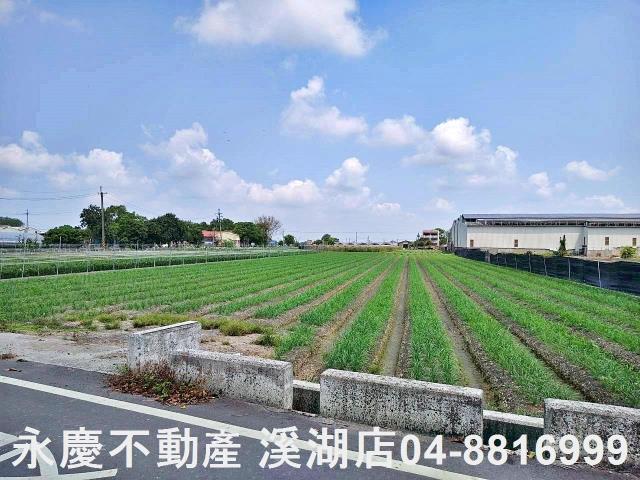 彰化田尾農地-0