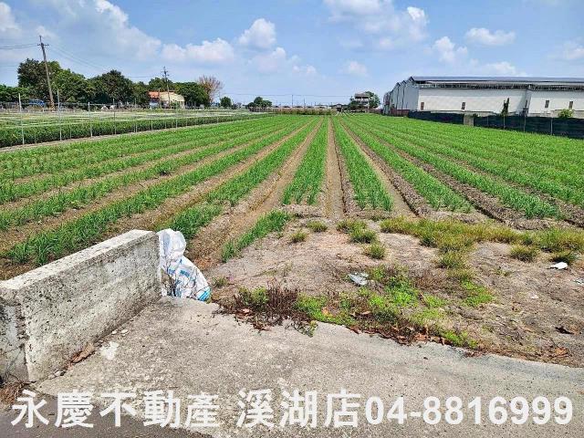 彰化田尾農地-1