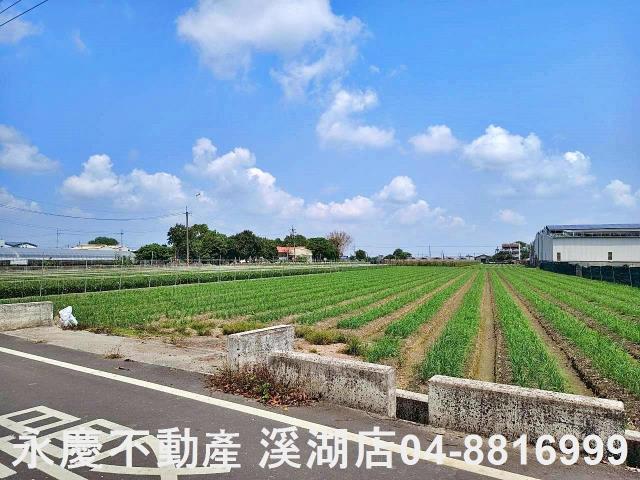 彰化田尾農地-2