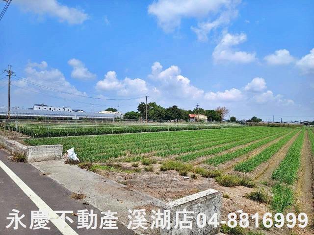 彰化田尾農地-3