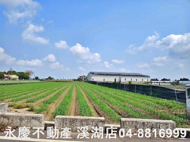 彰化田尾農地-5