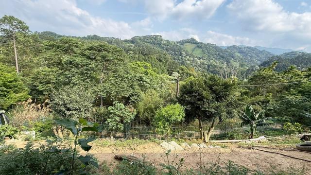 新竹峨眉農地-11