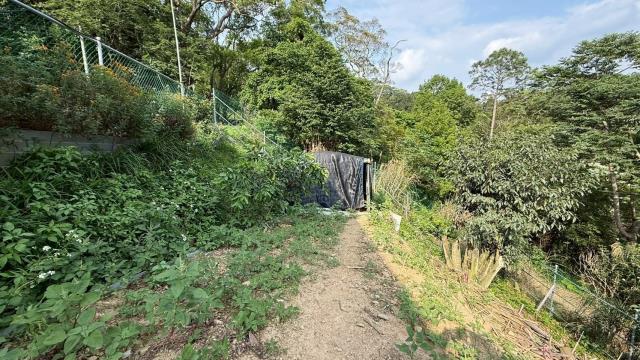 新竹峨眉農地-12