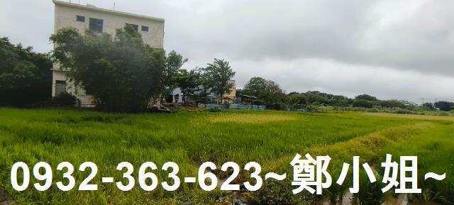 桃園大園農地-0