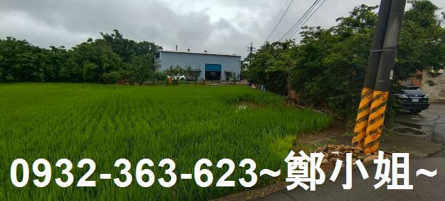 桃園大園農地-1