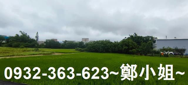 桃園大園農地-2