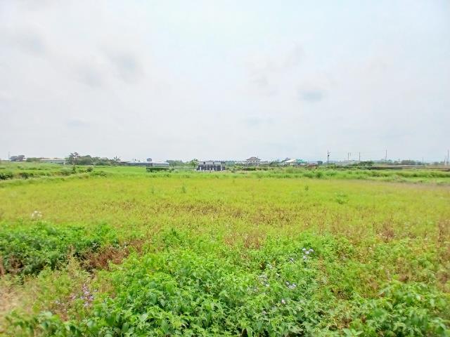 桃園觀音農地-1