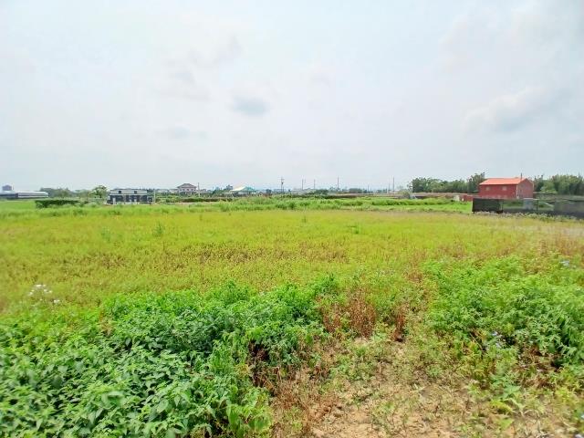 桃園觀音農地-2