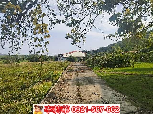 高雄內門農地-1