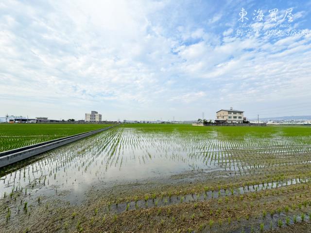 龍井農地-3