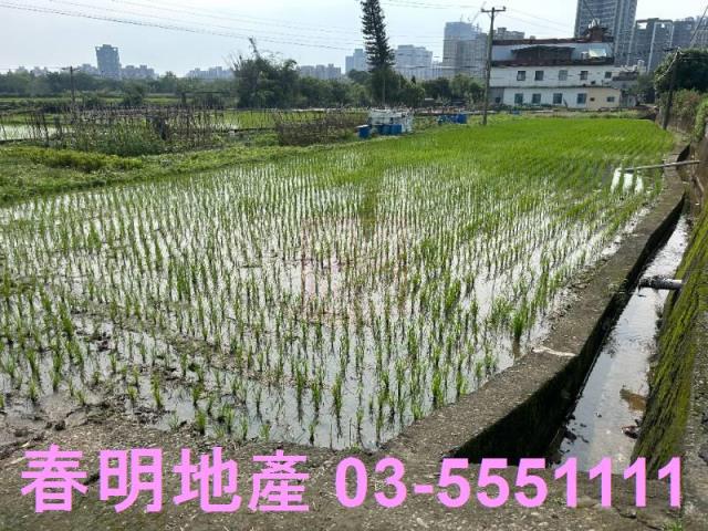 竹北農地-7