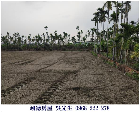 麟洛農地-0