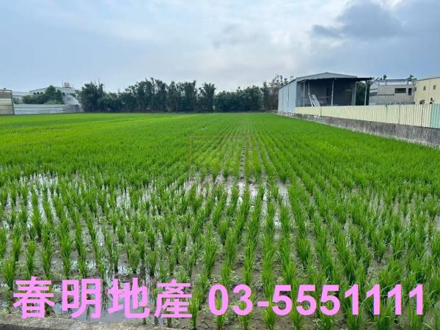 新竹農地-0